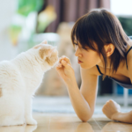 How to Teach Your Cat Basic Commands: Sit, Stay, and More