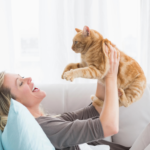 How to Encourage Positive Behavior in Your Cat: Rewards and Reinforcement Strategies