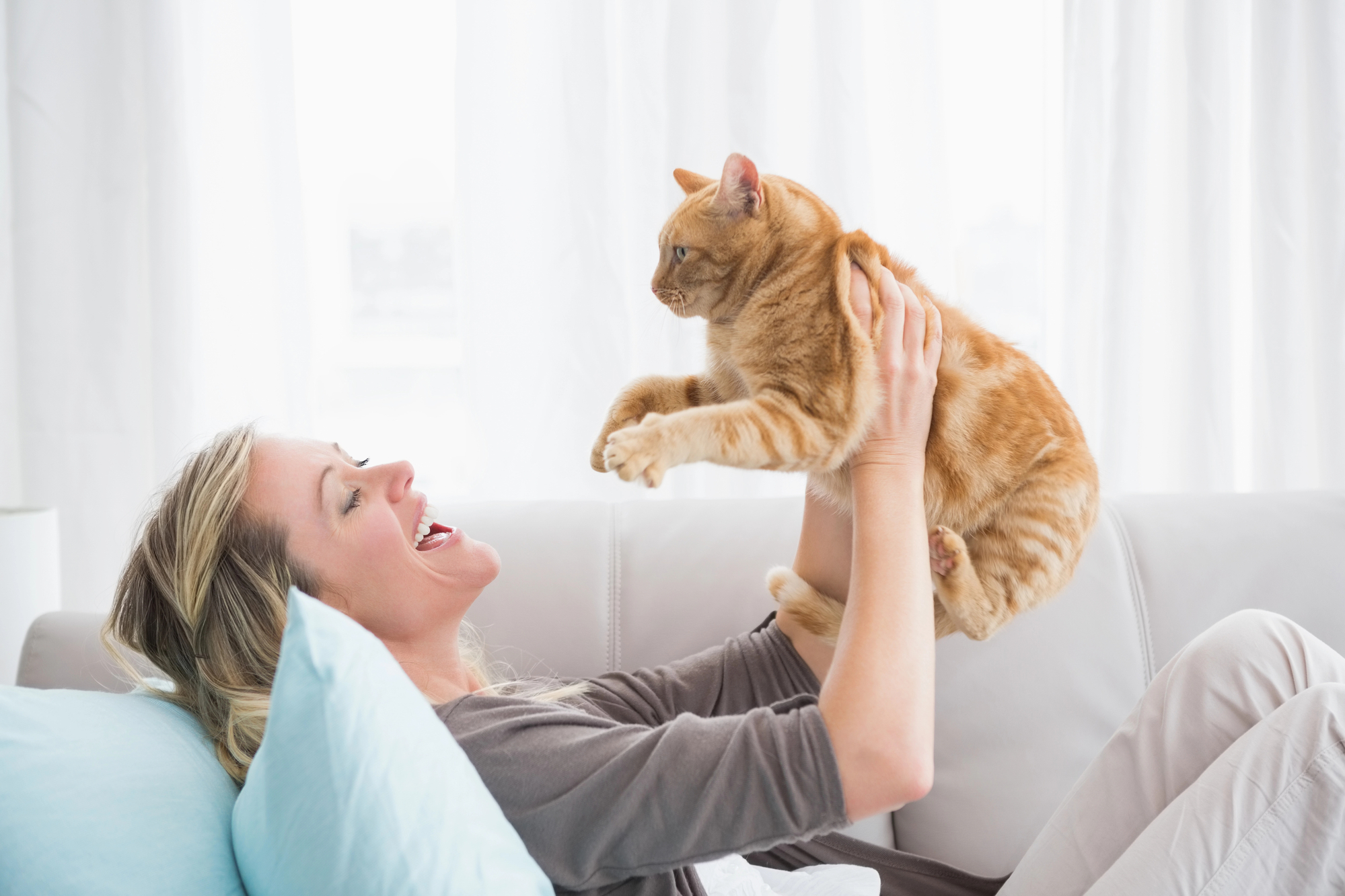 How to Encourage Positive Behavior in Your Cat: Rewards and Reinforcement Strategies