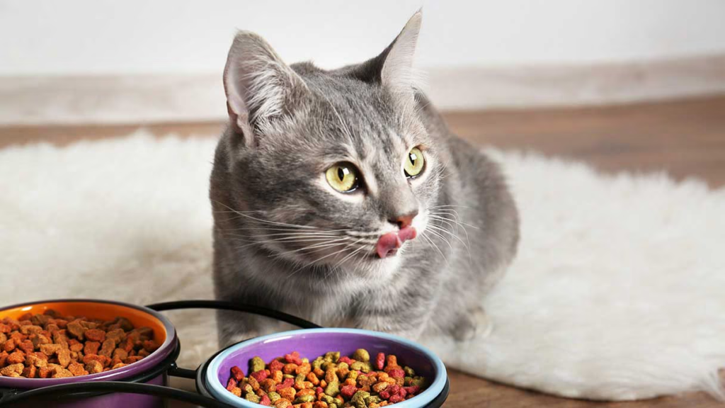 Maintaining a Balanced Diet for Your Cat: Tips for Optimal Nutrition